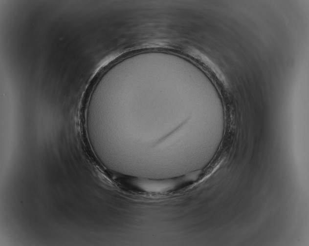 X0000086731308200705111607