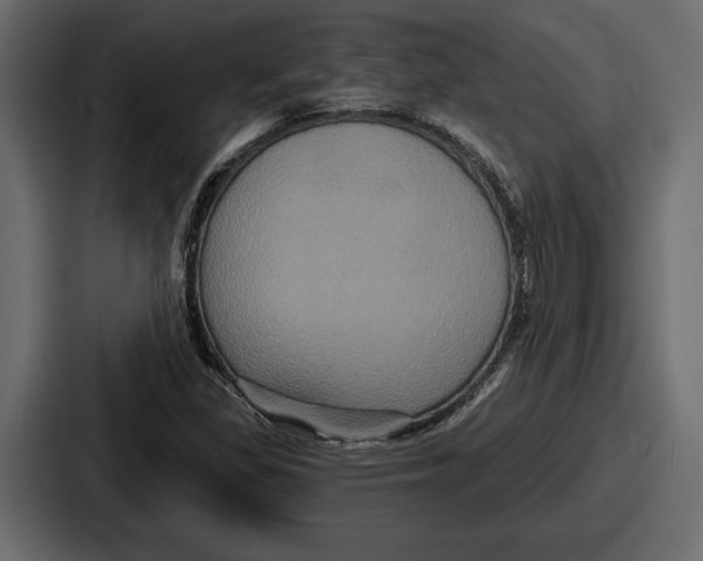 X0000086731309200705111607