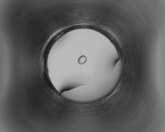 X0000086731310200705111607