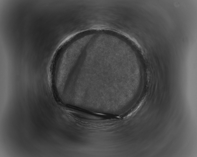 X0000086731311200705111607