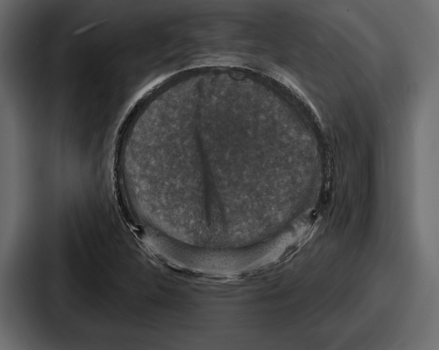 X0000086731312200705111607
