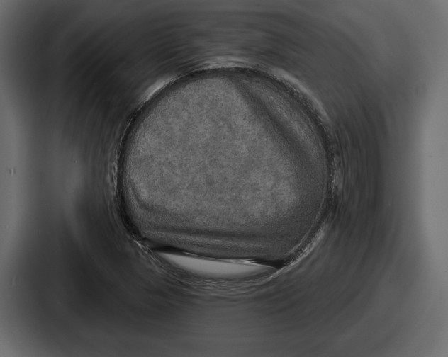 X0000086731313200705111607