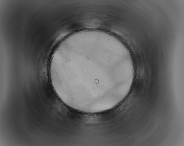 X0000086731314200705111607