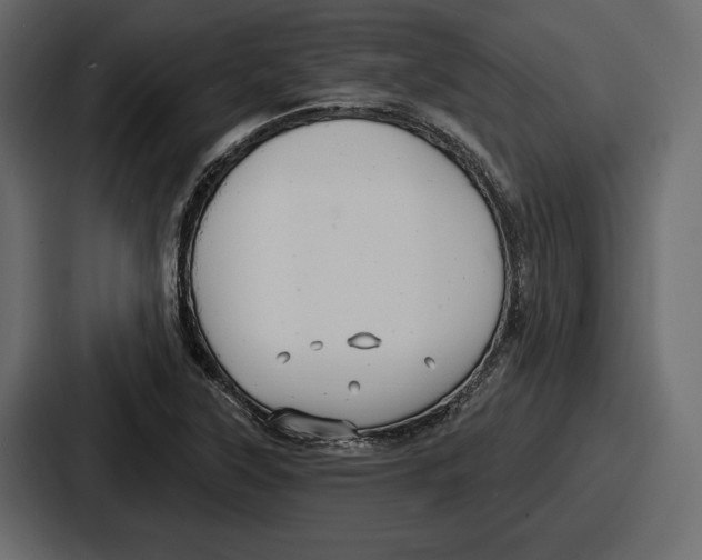 X0000086731315200705111607