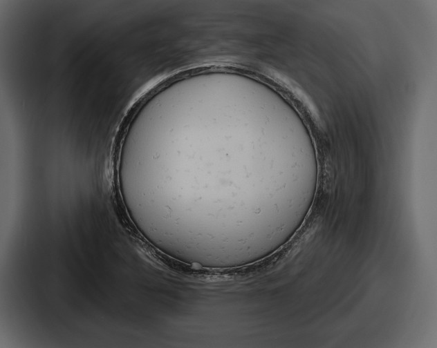 X0000086731316200705111607