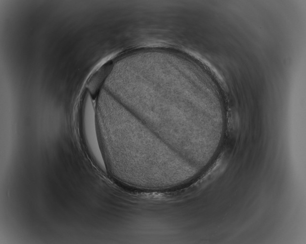 X0000086731317200705111607