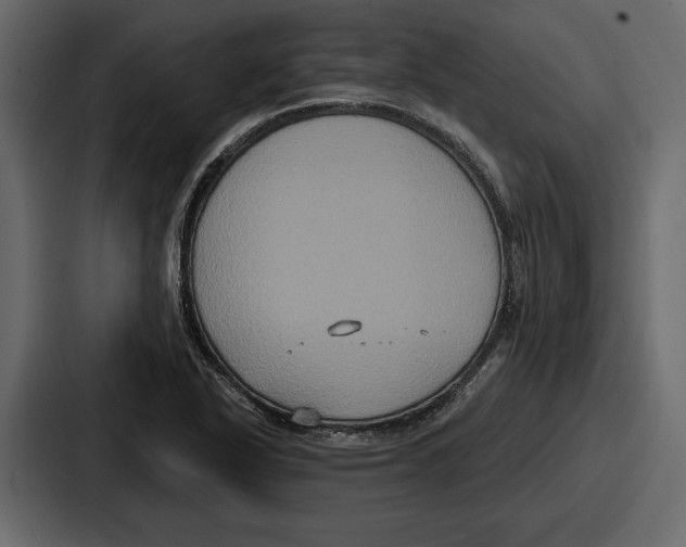 X0000086731318200705111607