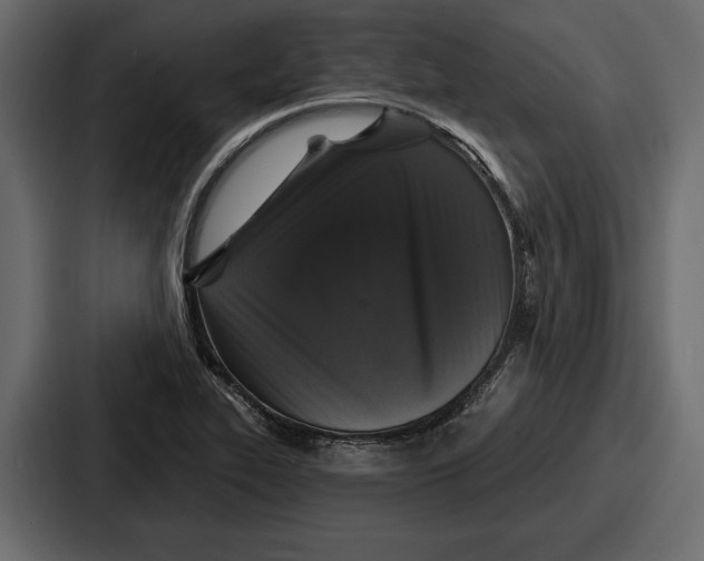 X0000086731319200705111607