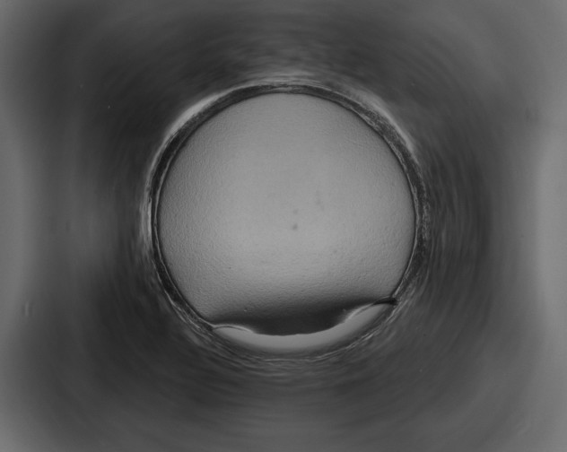 X0000086731320200705111607