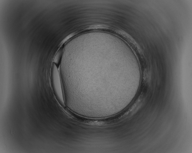 X0000086731321200705111607