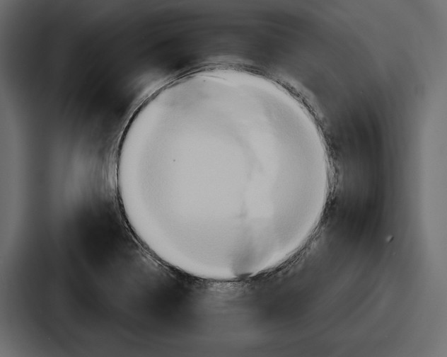 X0000086731322200705111607