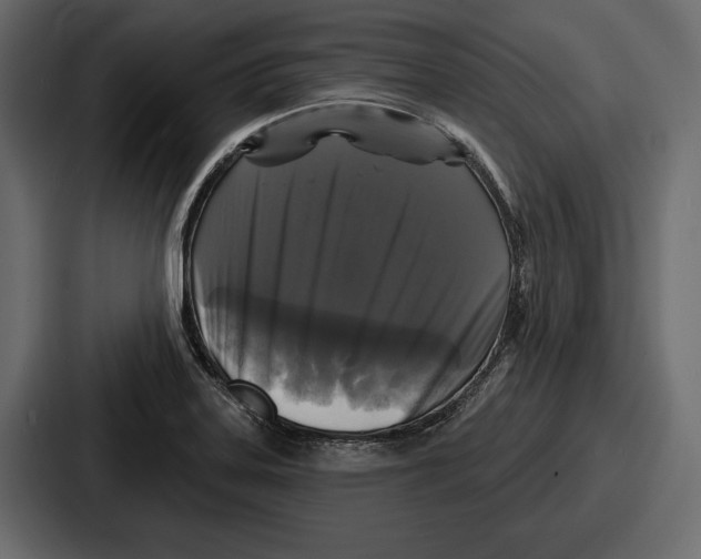 X0000086731323200705111607