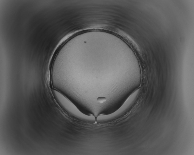 X0000086731324200705111607