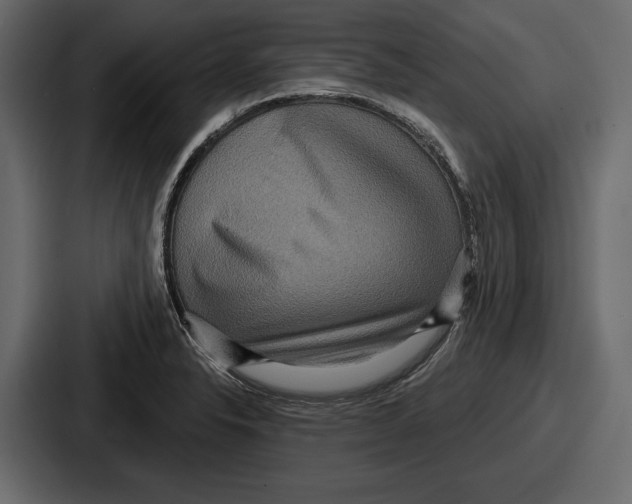 X0000086731326200705111607