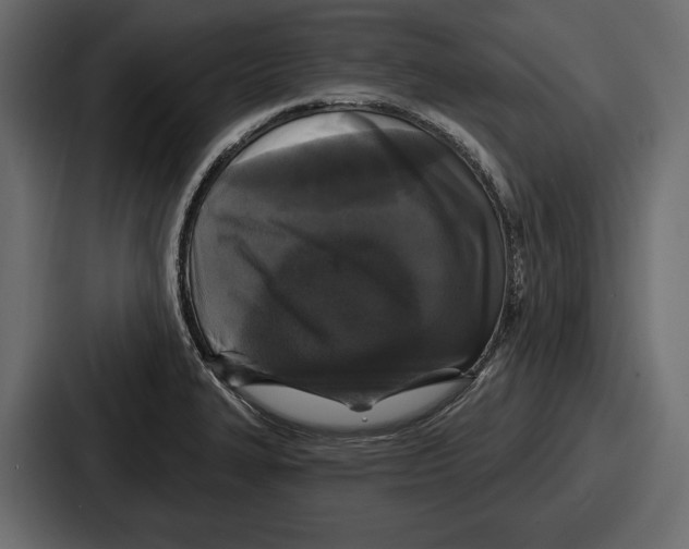 X0000086731327200705111607