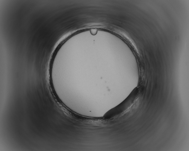 X0000086731328200705111607