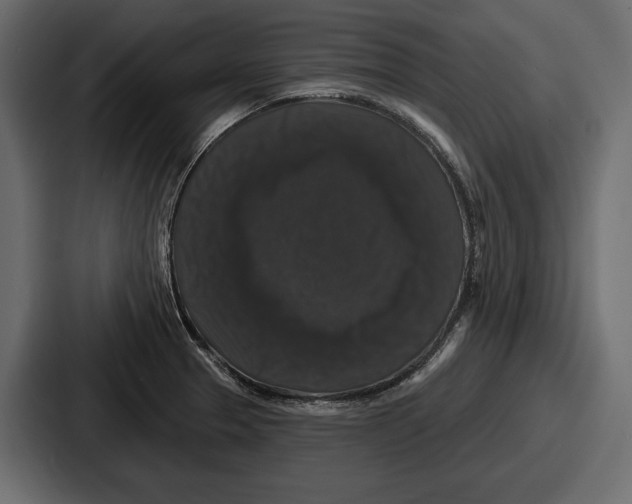 X0000086731329200705111607