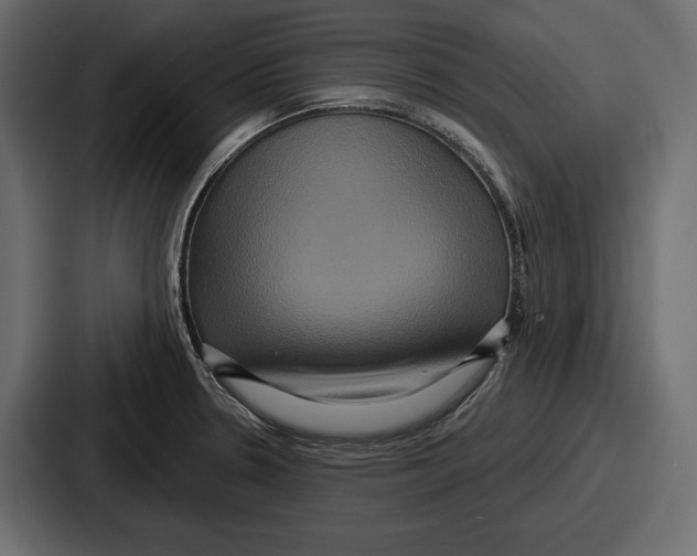 X0000086731330200705111607