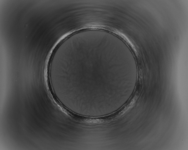 X0000086731331200705111607