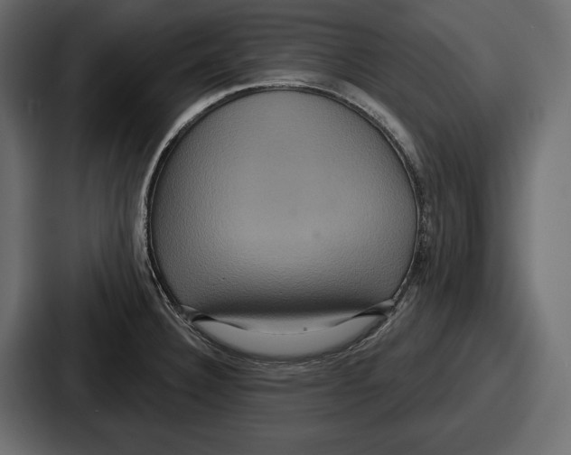 X0000086731332200705111607
