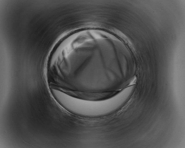 X0000086731334200705111607