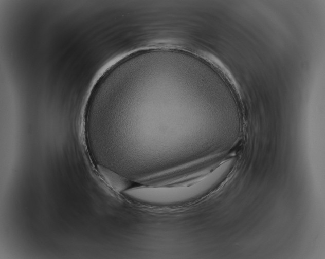 X0000086731336200705111607