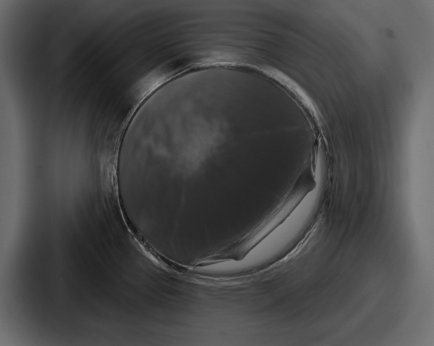 X0000086731337200705111607