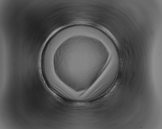 X0000086731339200705111607