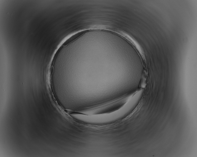 X0000086731340200705111607