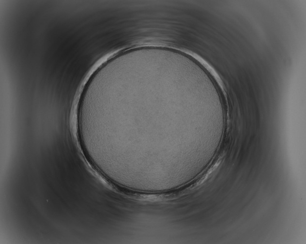 X0000086731341200705111607