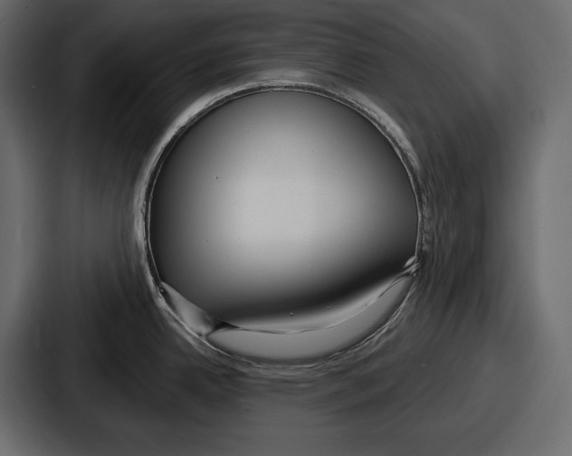 X0000086731342200705111607