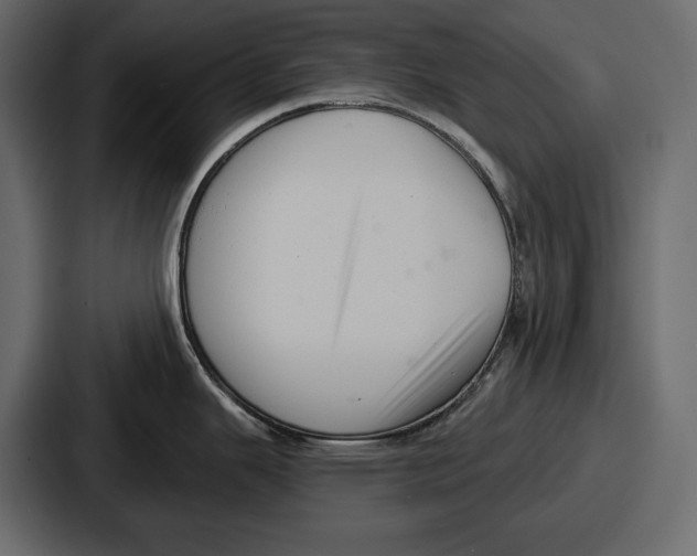 X0000086731343200705111607