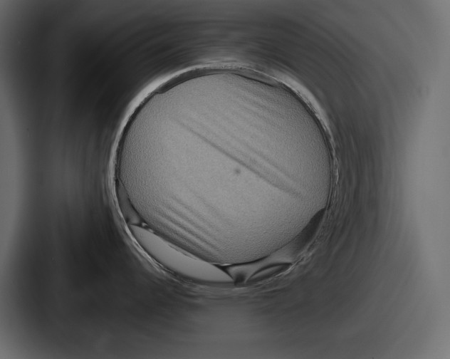 X0000086731344200705111607