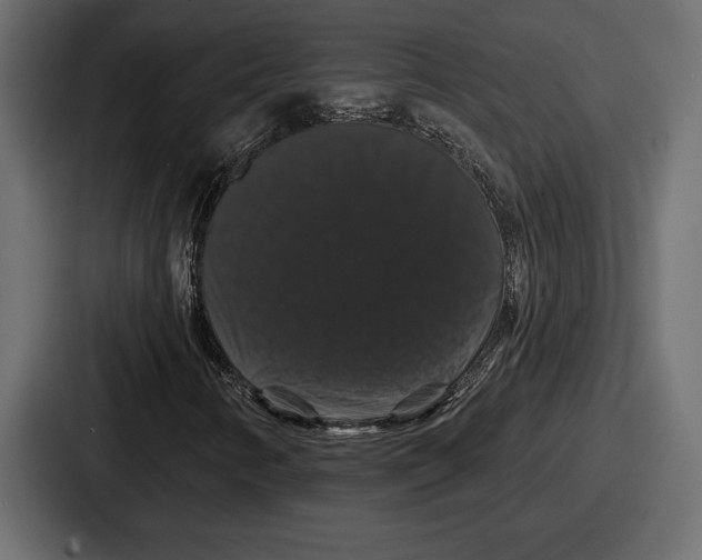 X0000086731346200705111607
