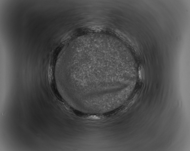 X0000086731347200705111607