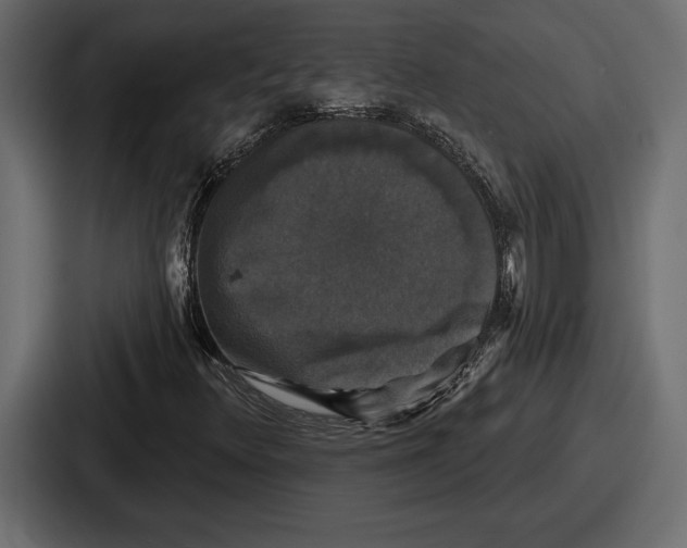X0000086731348200705111607