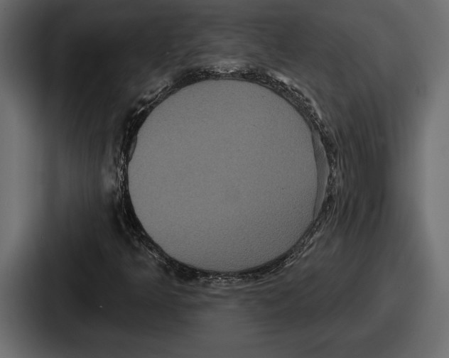 X0000086731349200705111607