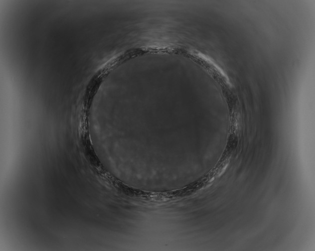 X0000086731350200705111606