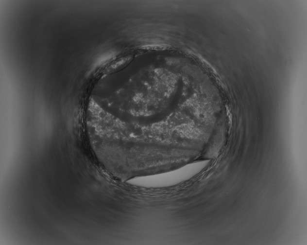 X0000086731351200705111606