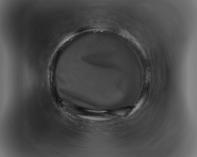 X0000086731352200705111606