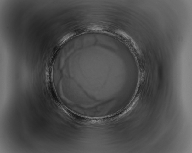 X0000086731353200705111606
