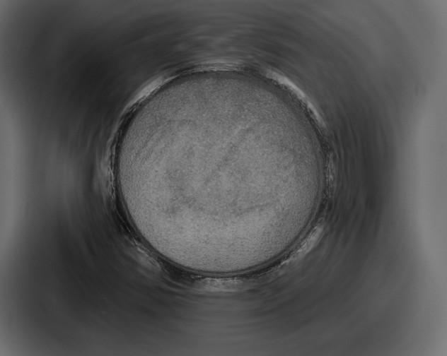X0000086731354200705111606