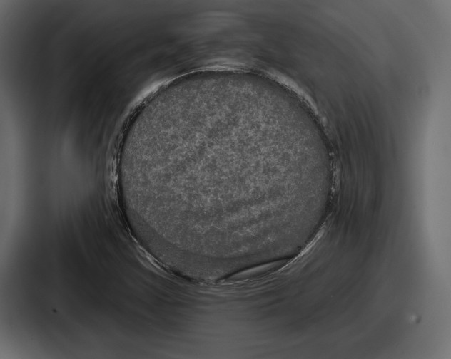X0000086731355200705111606