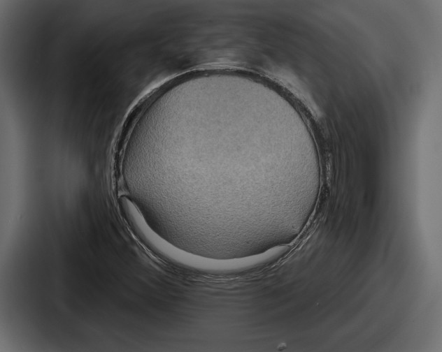 X0000086731356200705111606