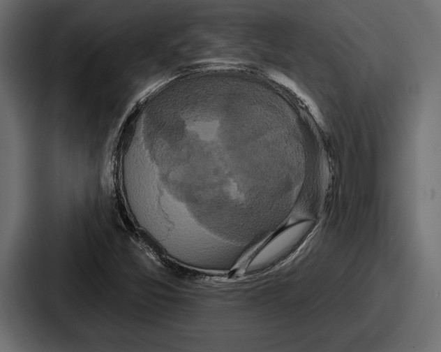 X0000086731357200705111606