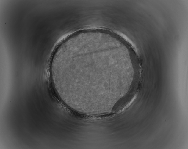 X0000086731358200705111606