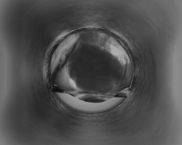 X0000086731359200705111606