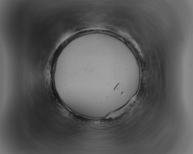 X0000086731360200705111606