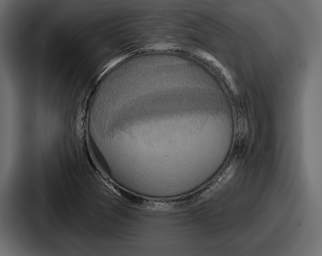 X0000086731361200705111606