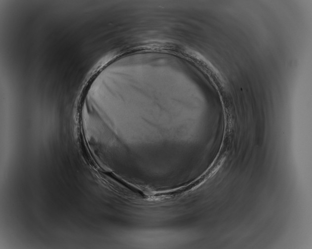 X0000086731362200705111606